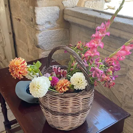 Cycladic Open Sea View Maisonette 度假居 Nisoi