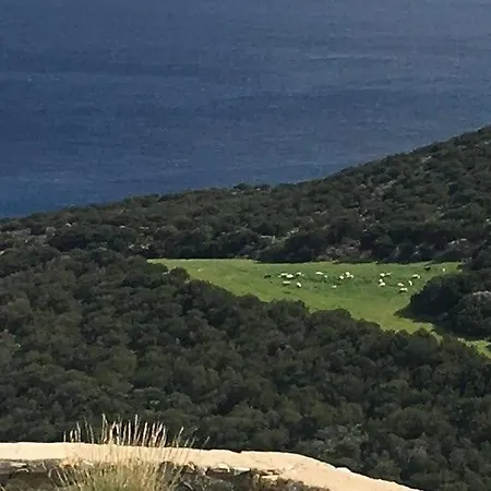 Σπίτι διακοπών Cycladic Open Sea View Maisonette